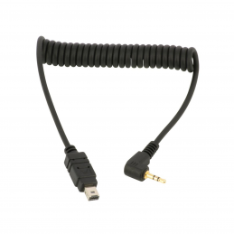 Câble ZWO compatible AsiAir pour 2 résistances chauffantes connecteurs RCA