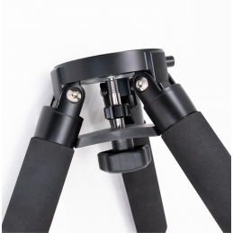 Monture ZWO AM5 Harmonique